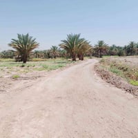 ٢٠ دونم • طابو زراعي • واجهة ١٦٠م