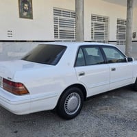 راس الثور تكم كفاله من الضربه والكصه ونقل الجثه   والعيب الشرعي وكافه ...