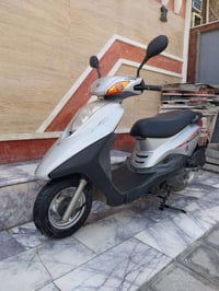 بريز • ياباني • أوراق كامله