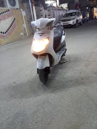 سكنس • ياباني • فحل