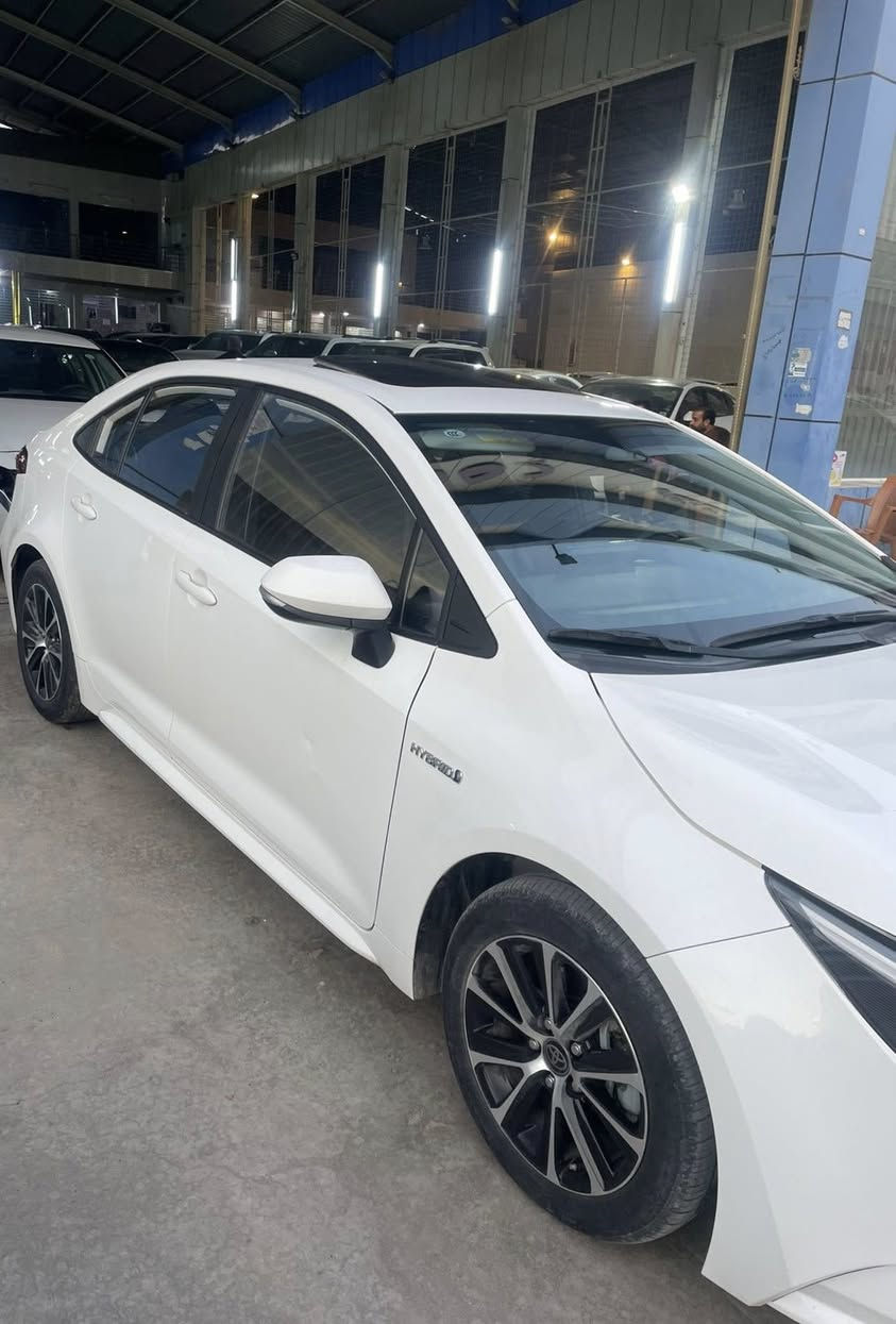 كورلا هايبرد
موديل 2024 رقم اربيل ومكانها اربيل 
ماشيه ٧٠ الف
مكفوله من صبغ وضربه بيها رصعه صغيره ممبينه
موصفات فول مواصفات 
سلايت نقطه عمياء
بصمه تشغيل أبواب وبيبان 
اوتو هولد 
سايد بريك كهرباء 
السعر 148بيه مجال بسيط
***********
***********
