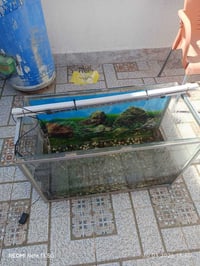حوض سمك • ٨٠×٦٠سم • كركوك