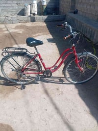 بوسكل للبيع السعر 65 وبي مجال يرهم مراوس 07872930566