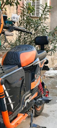 البصرة • دراجة كهربائية