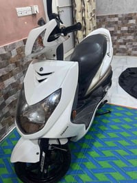 سكنس فحل • ياباني • مزاد