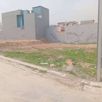 ارض • جمعيه النخيل • ٤٢١م