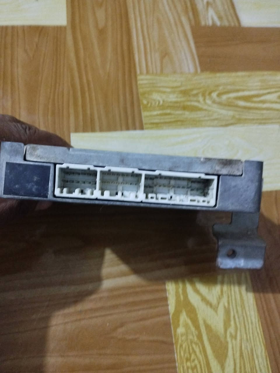 عقل كوستر جمره 3فيش سعر 125قفل عنوان كربلاء ***********
