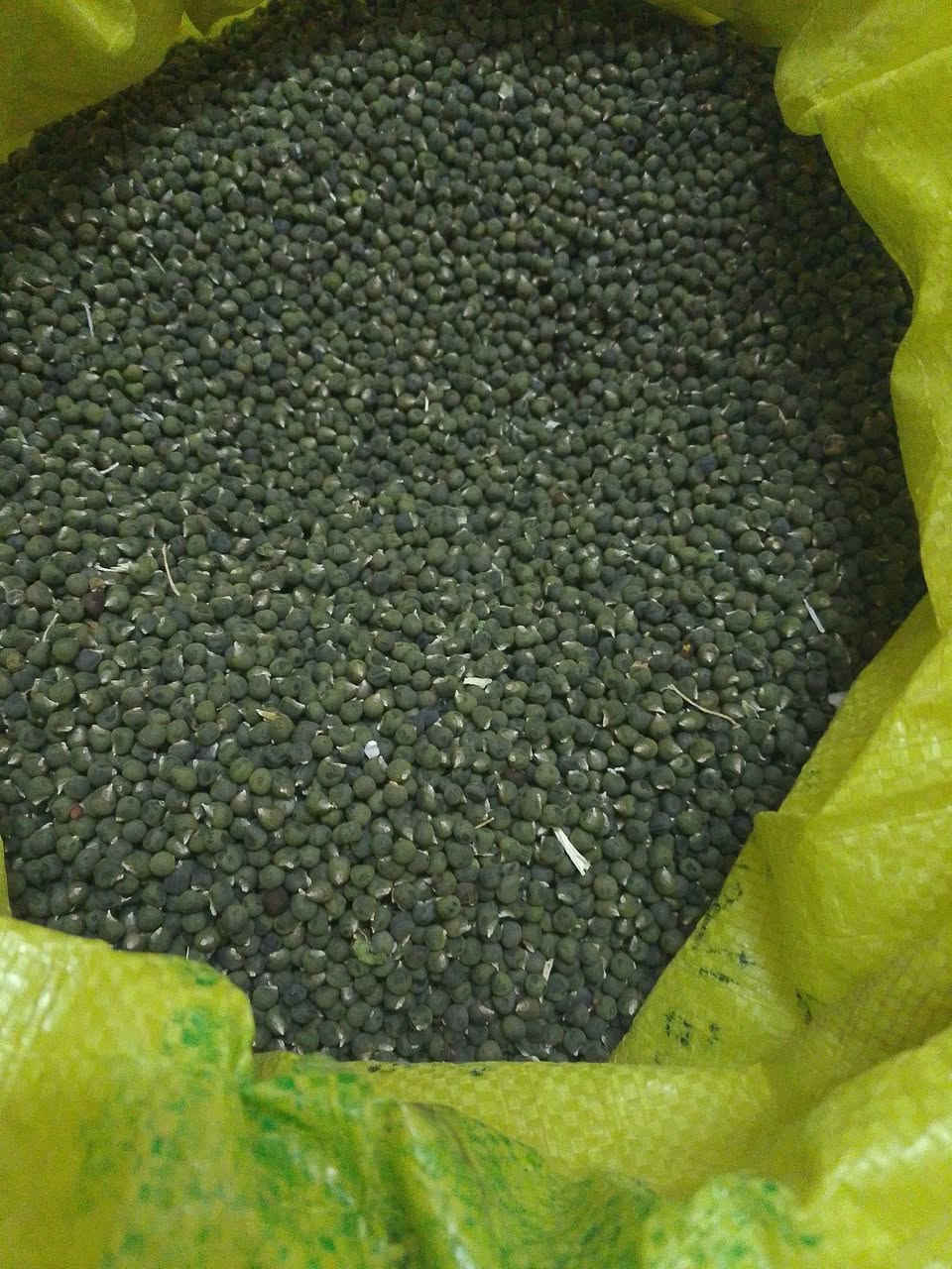 حاب بامي حسينوي وبغدادي  شرط السعر 20الف الكيلو***********
