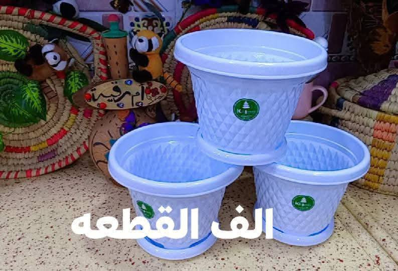 🪴🪴لتشجيع على الزراعه ازرع لو سندانه بسيطه🪴
🌹واكيد شكل زرع ثاني مع سندانه ذات الألوان زاهيه🎉
يغير من شكل زرعك و تشوفه شكل ثاني و اعطيته اكثر جماليه زين ركن بيتك و حديقتك 🌹
سويت لكم عرض وكميه محدوده
🎊 القطعه الف فقط 🎉
🪴وكل سنادين  نوعيه ممتازه 🪴
🚕توصيل كل محافظات العراق 🚕
🌹🪴الزرع لعرض فقط🪴🌹
لحجز على خاص 
***********
