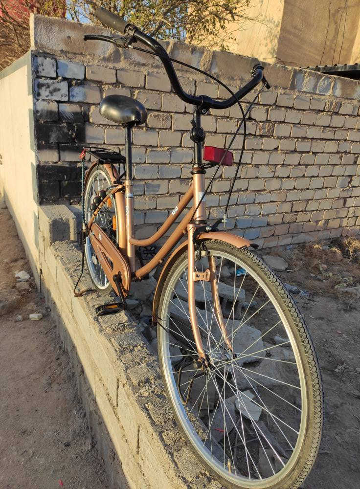 السلام عليكم 🫡 
باسكل للبيع 🚲🟤
لون مميز 🟤
حجم الباسكل 26
مديل 2022 
السعر(125,000) وبي مجال 
مشتريه من كرار ابو النقش 
(مكاني النجف الاشرف الكوفه قرب جامع الخزاعل )
متواجد خاص
*********** النجف, العراق
