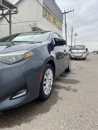 كورلا • ٢٠١٩ • رقم سليمانية