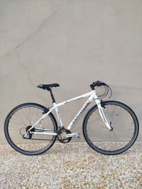 كوراتيك • حجم ٢٨ • شيمانو سورا