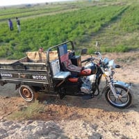 ستوته • موديل ٢٠٢٣ • أوراق أصلية