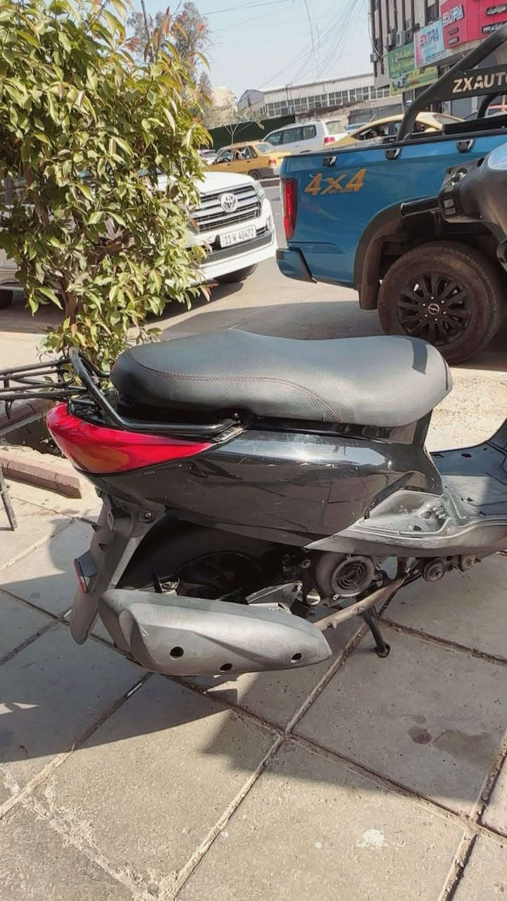 للبيع ببغاء دراجة بلاديه ممفتوحة ومابيهة كل نقص ومكفوله ***********زعفرانية
