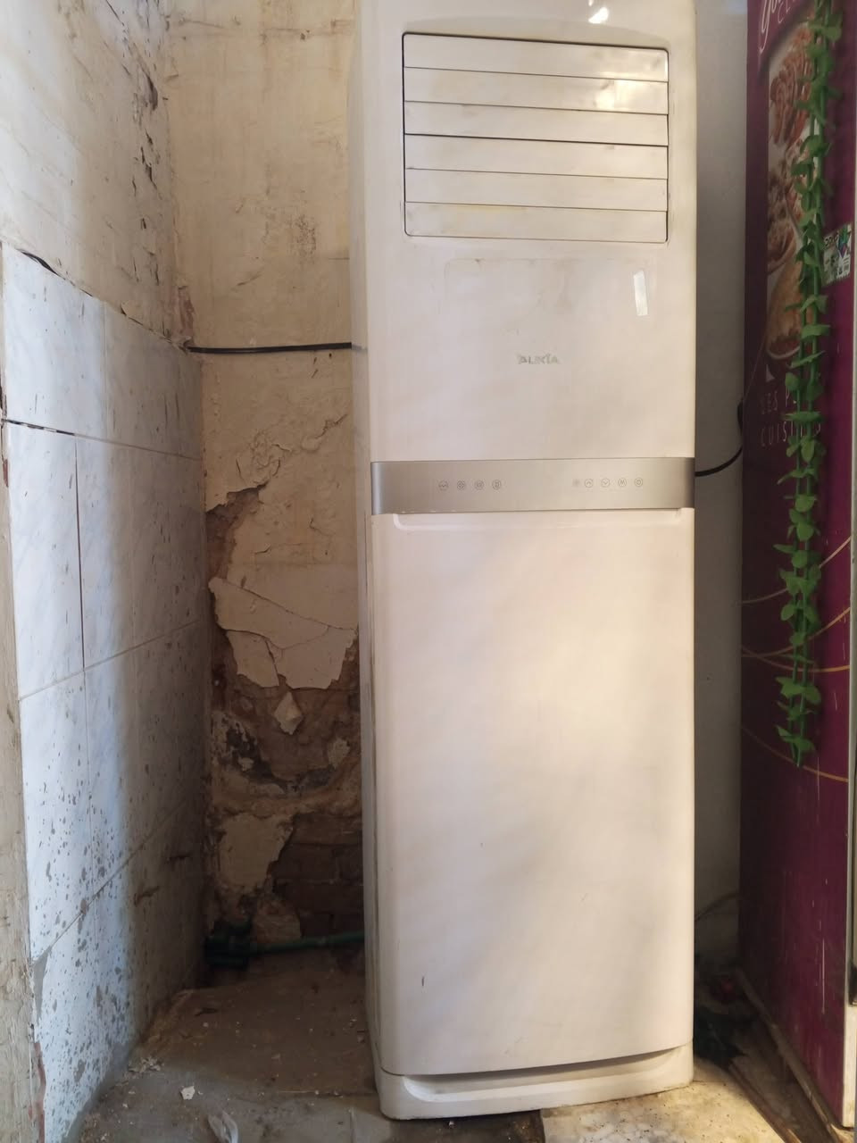 1- براد كبير اخو جديد 300 الف بي مجال  

2- سبلت 3 طن ماركه أوكيا 600 الف بي مجال 

عنوان شارع مدينه قرب شارع رسول


**إذا كنت صاحب هذا الإعلان وتريد حذفه لأي سبب، رجاءا أرسل رسالة إلى الدعم الفني**