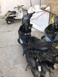 ماكس عدله • بوشه 55 • بالعزه