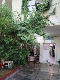 الشعب قرب جامع بدرية • مساحة ٨١ • سند مفروز