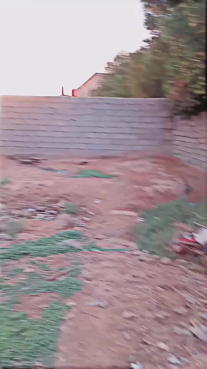 السلام عليكم البيع البيت ديوانيه غرفتين وصاله حمامات دخليه خارجي + قطعه السعر ٢٠مليون رقم***********عنوان معارض زبير مقبيل صحفيان
