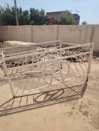 شباب محجر مال كيه شيري حمل للبيع مكاني بغداد الزعفرانيه تفصال كامل حدي...