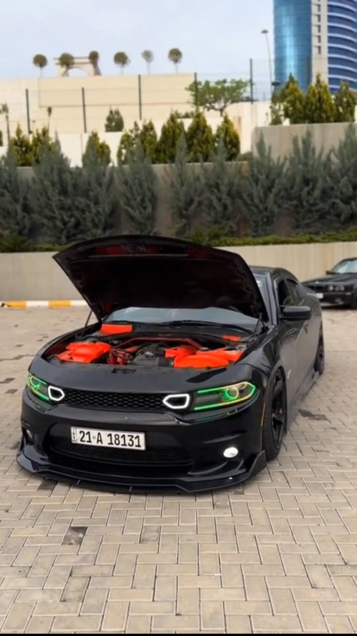 سلام عليكم دوج تشارجر آر تي
موديل 2019
 سوبر تراك باك محرك v8 5700
ماشي ٨٩٠٠٠
ستيرن rpm
سقف روز رايز
قاعدة بانص
دعامه محول الي دعامي srt
دفيزور srt
ولف حماوه ريس سينك
شوته سبورت
كاج كان
كماليات فول
داخل كاربون فايبر فول
كير تحكم باطل شفت
رقم سليماني
للتفاصيل أكثر ***********
