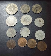 ١٣ قطعة • شعار • ٢ درهم فضة