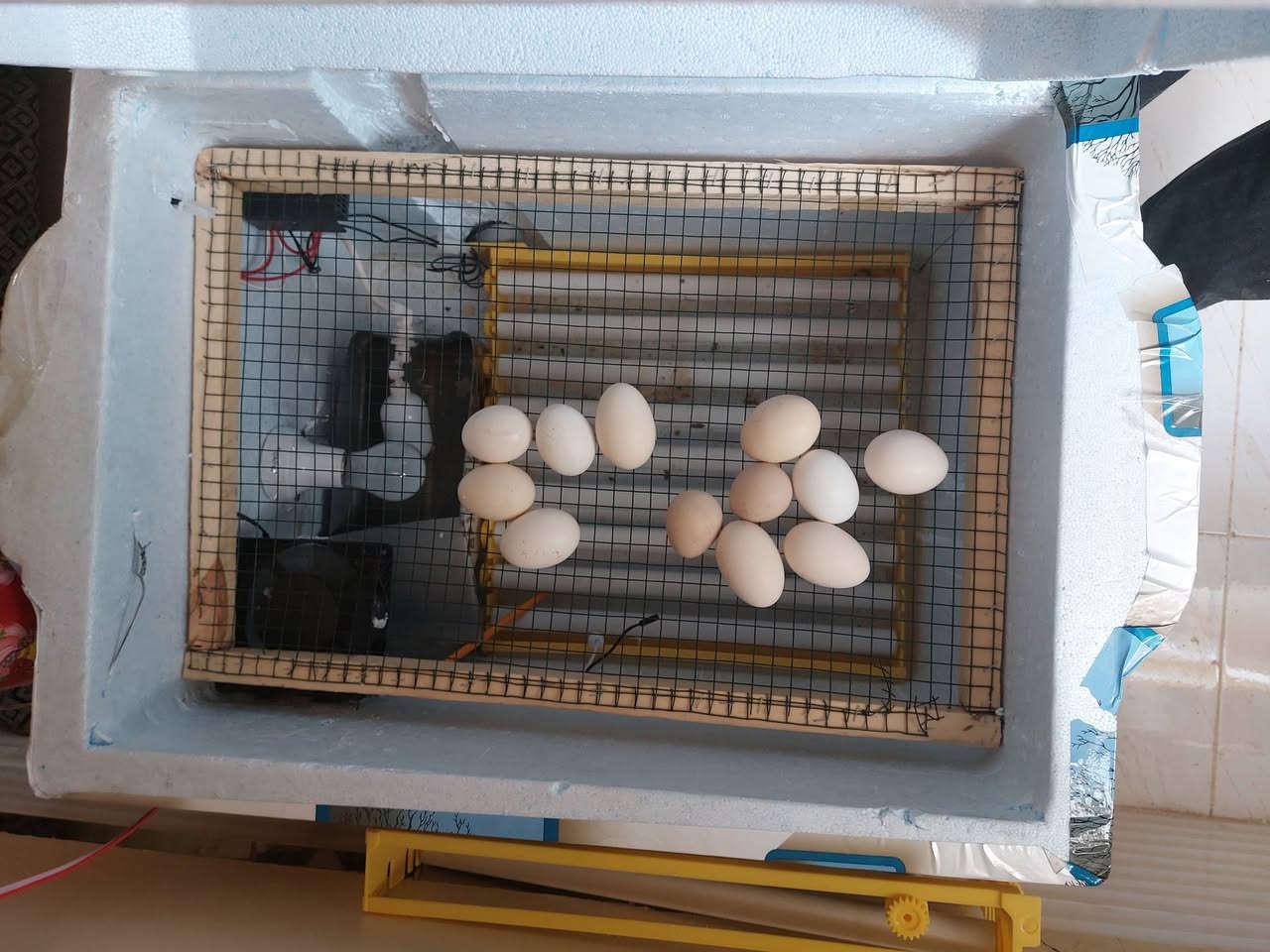 ,للبيع مفقس  فلين فول اتوماتيك ١١٢ بيض ياخد سعر ٨٠ الف بي مجال ***********
