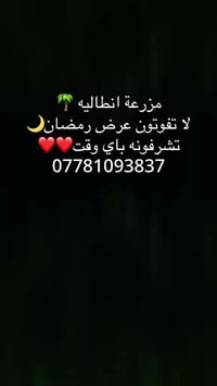 مزرعة أنطاليا • بغداد المدائن • مسبح