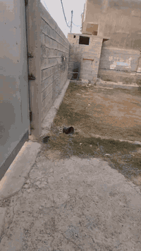 #للايجار بيت طابق واحد مساحه 300م منطقة الزراعة خلف محطة الامن.. الايجار 500
***********
***********
