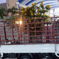 للبيع محجر بوري مال فحل جديد السعر 350  07849004441