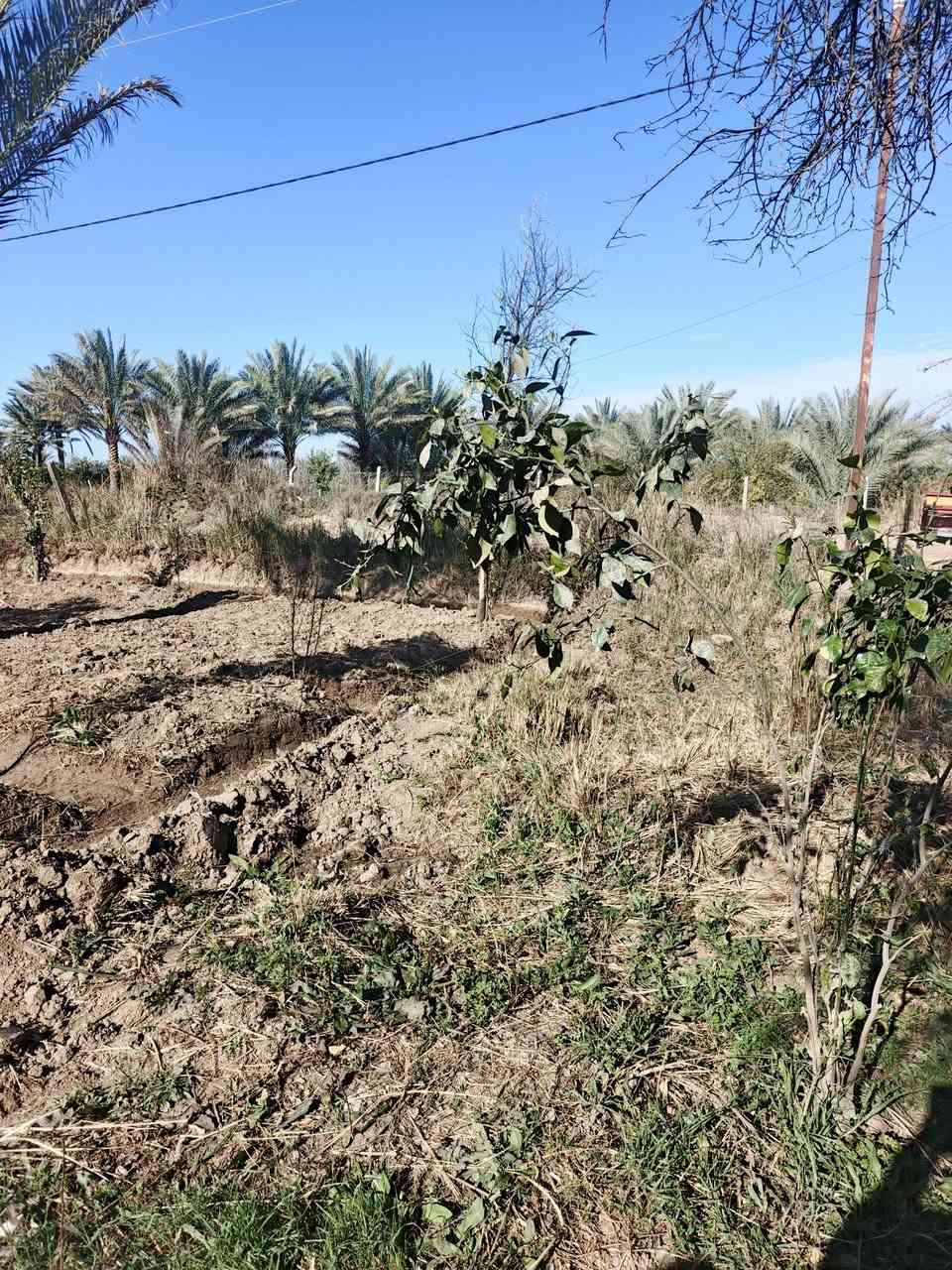 سلام عليكم للبيع م 600 متر كلش حلووه كاع سند 25 تحويل مباشر بسم المشتري تبعد عن تبليط 100 بغداد الراشدية قرية العراكنة تبعد عن ناحية ربع ساعة وعن شارع العام طريق بغداد كركوك كيلو كهرباء ماء سقي ماء اساله تصلح سكن او مزرعه السعر 35 وبي مجال ***********
