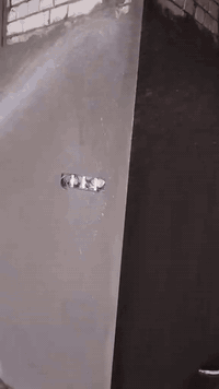 اللهم صل على محمد وال محمد
كادر الباخ بنواع البخ كادر هندسة ويعمل بشراف هندسي
نواع شغل اقصاد ع المتر قصاد ع الاسكان 
مگطوعه نشتغل 
الاتصال ***********
العمل فقط الرميثه والسماوة
