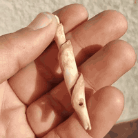 تخفيضات جان سعرة 150 صار 75  ملوي عطف شرط الاصلي والقديم طبيعي للبيع  ...