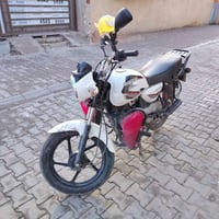 بوكسر 2023 • كفاله • بغداد المحموديه