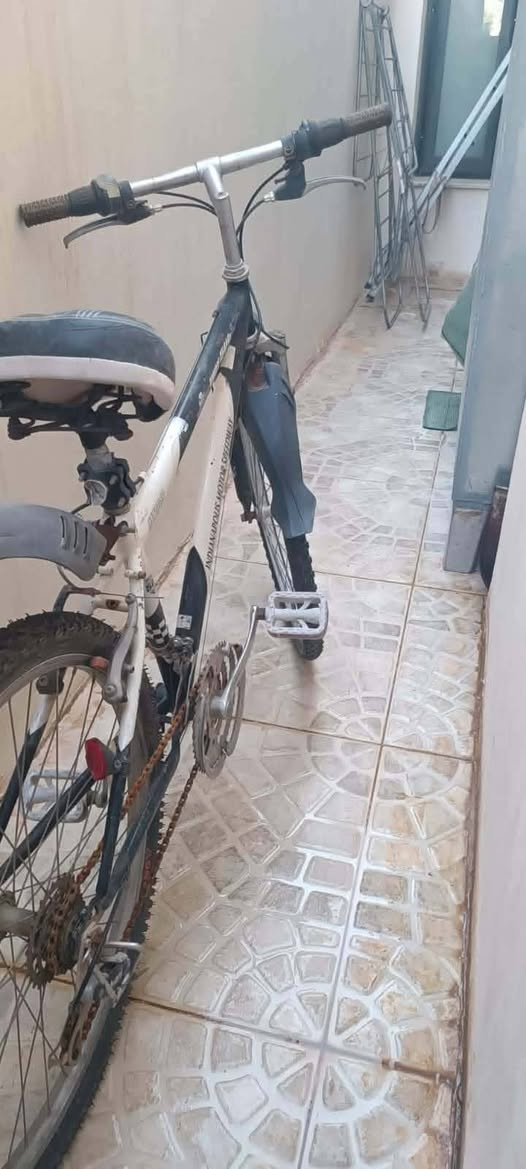 بۆفڕۆشتن بێ عەیبە دەبڵ گێڕە شوێن کەلار 🚴


**إذا كنت صاحب هذا الإعلان وتريد حذفه لأي سبب، رجاءا أرسل رسالة إلى الدعم الفني**