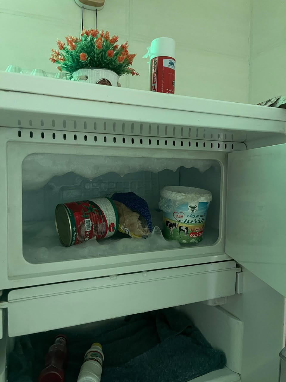 ثلاجة دونر حجم ١٤ قدم منا وبيها براد مابيها اي عطل مداخله تصليح سعرها ٢٧٥ وبيها مجال


**إذا كنت صاحب هذا الإعلان وتريد حذفه لأي سبب، رجاءا أرسل رسالة إلى الدعم الفني**