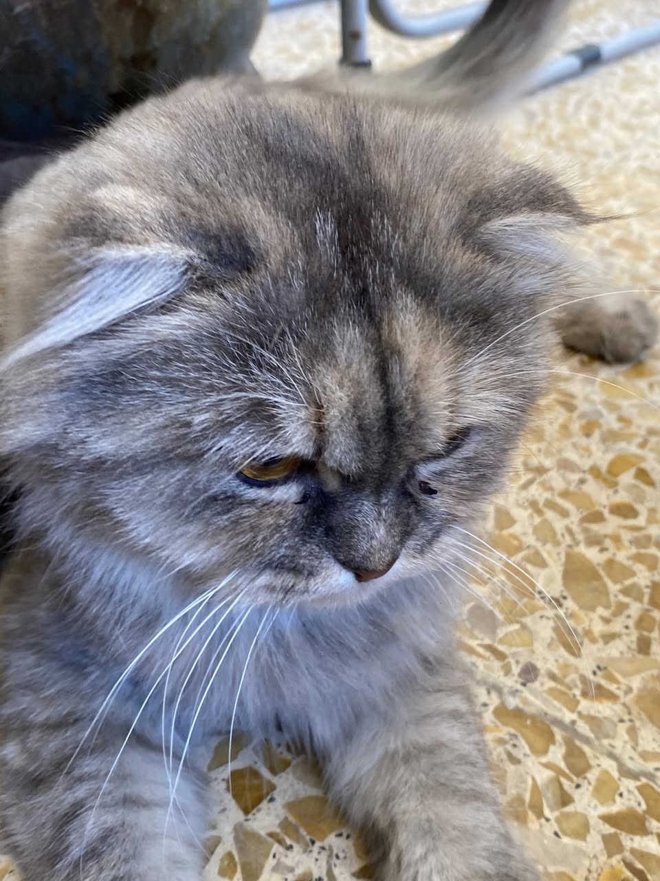 السلام عليكم
لكينه هاي البزونه بالقرب من اسواق الشاكرين مقابيل مدرسة الحسن المثنى للبنين
اللي يتعرف عليها يراسلني .


**إذا كنت صاحب هذا الإعلان وتريد حذفه لأي سبب، رجاءا أرسل رسالة إلى الدعم الفني**