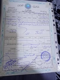 الزنجيلي • ١٤٠م • واجهة ١٠م