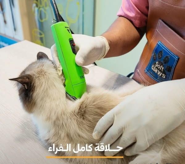 السلام عليكم
كل ما يخص القطط تجدو عندنا في العيادة الطبية البيطرية:
-سناكات لحم،معلبات لحم،قواطي لحم ،دراي فود 
-رمل،بوكسات ،اكسسورات ،،،الخ
-لقاحات ،علاجات 
-كورس علاجي كامل
 هاتف:
0781 007 5054
***********
📍عنوانه:كنعان/شارع شميسات مجاور اسواق عمر ناظم
