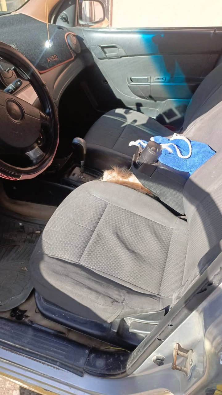 افيو للبيع محرك كير شرط
السعر ٥٢
كير توماتيك محرك  استرا 
سياره بسمي رقم مصطره اجنبي مشروع وطني  
هيا مرور صفر شرط التحويل تتكاتب ويا الشرعي 
صبغ عام مال تكسي 
كهربائيات كلها شغاله 
سياره نضيفه مابيها اي نقص 
اسف عل اطاله 
مكلف بل نشر هاذا رقم صاحبها
موصل ايسر 

***********

***********واتساب فقط الخط مغلق
