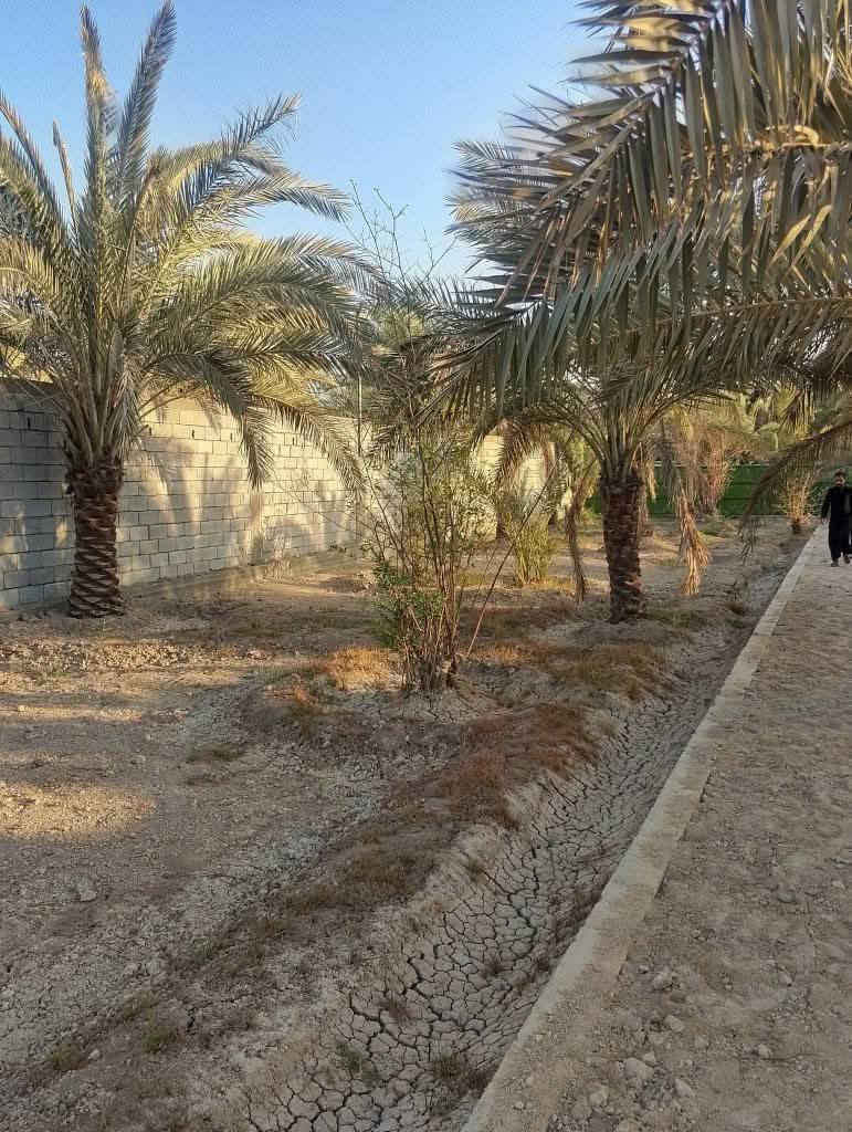 🏡 مكتب الجوهرة العقاري – أبو الخصيب 🌴
للبيع: قطعة أرض / بستان نخيل
📐 المساحة: (1075 متر )
🚧 الموقع: أبو الخصيب محيله ، شارع واسع، قريب من الخدمات الأساسية
🧱 سياج: مسيجه بالكامل
 الطابو : سهم بلطابو#
🌴 المميزات: نخيل مزروع ومنظم، أرض مستوية وصالحة للاستثمار أو السكن
💰 السعر: (260 مليون قابل للتفاوض”)
📞 للتواصل: *********** 📱
مكتب الجوهرة… ثقة وخبرة في أبو الخصيب 🌟

#عقارات
#اكسبلور
#العراق
