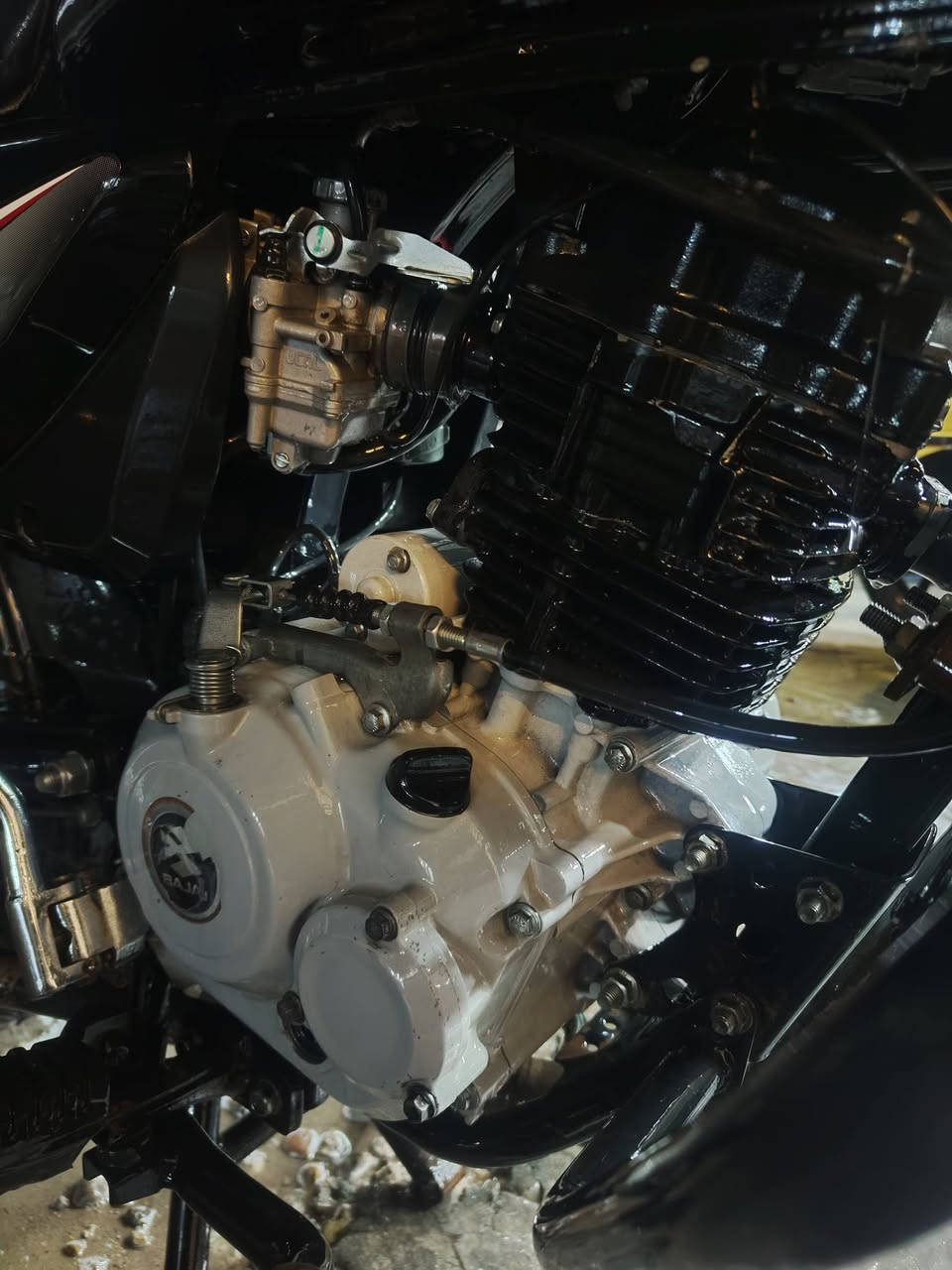 بوكسر كلاسك للبيع مكفوله رقم بغداد ب2 وبيه مجال *********** واتساب بس مكاني حي اور
