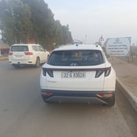 توسان ٢٠٢٤ • فول مكفولة • تحويل اربيل