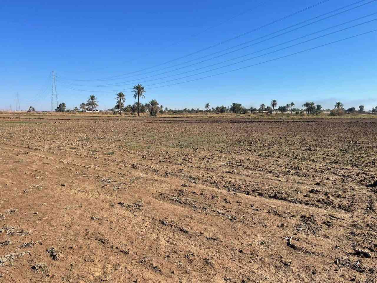 قطعة أرض للبيع
طابو زراعي سند ٢٥ تحويل مباشر
الموقع الرمادي ناحية اليرموك قرب مزرعة شيخ إحسان
المساحة ثنين دونم ونص
قريبه من جميع الخدمات 
شارع خمسة متر
الأرض صالحة للزراعة او اي مشروع استثماري
سعر الدونم ١٨ مليون
للإستفسار الاتصال على الأرقام التالية
*********** واتساب
*********** واتساب
او مراسلة الصفحة في اي وقت نعتذر عن التأخير عن الرد في بعض الأحيان
نستقبل جميع العروض العقارية في مدينة الرمادي
ابو احمد
