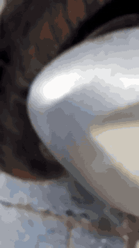 السلام عليكم دراجه كومكو للبيع الدراجه نضيف شغاله سلف هندر دبل نظيف دراجه جاهز من كل شي السعر 300وبيها مجال المكان الحله جمعية قرب النافوره الرقم الهاتف ***********
