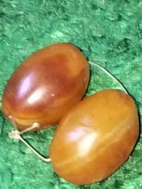 سليمااني • احمر • نواادر