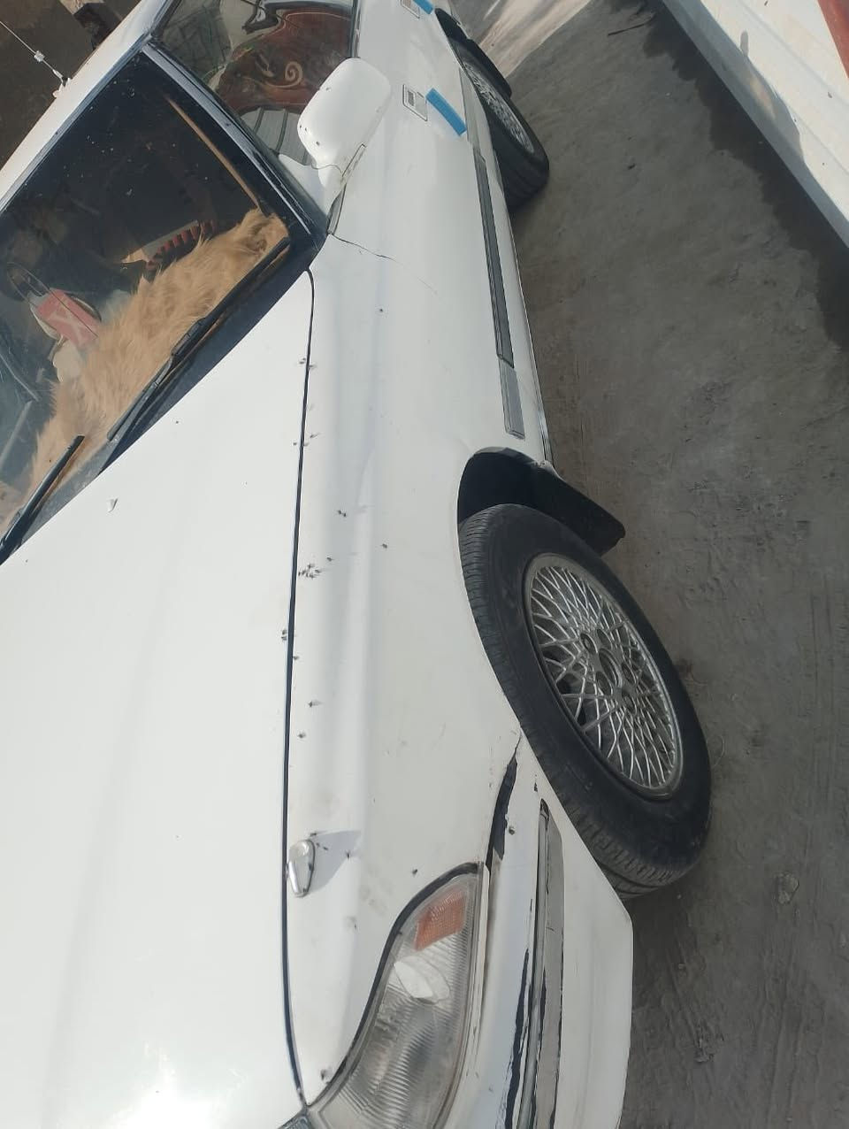 سلام عليكم مارك كصيف موديل 91 سياره جدية الله شاهد مكينه ونجي وكير جديد الله شاهد سياره مابيها كل نقص سنويه منتهية صالها اربع سنوات راعيها يريد مداور مكان سياره بالبصره ابو الخصيب العوجه *********** سعر 42 بيها مجال
