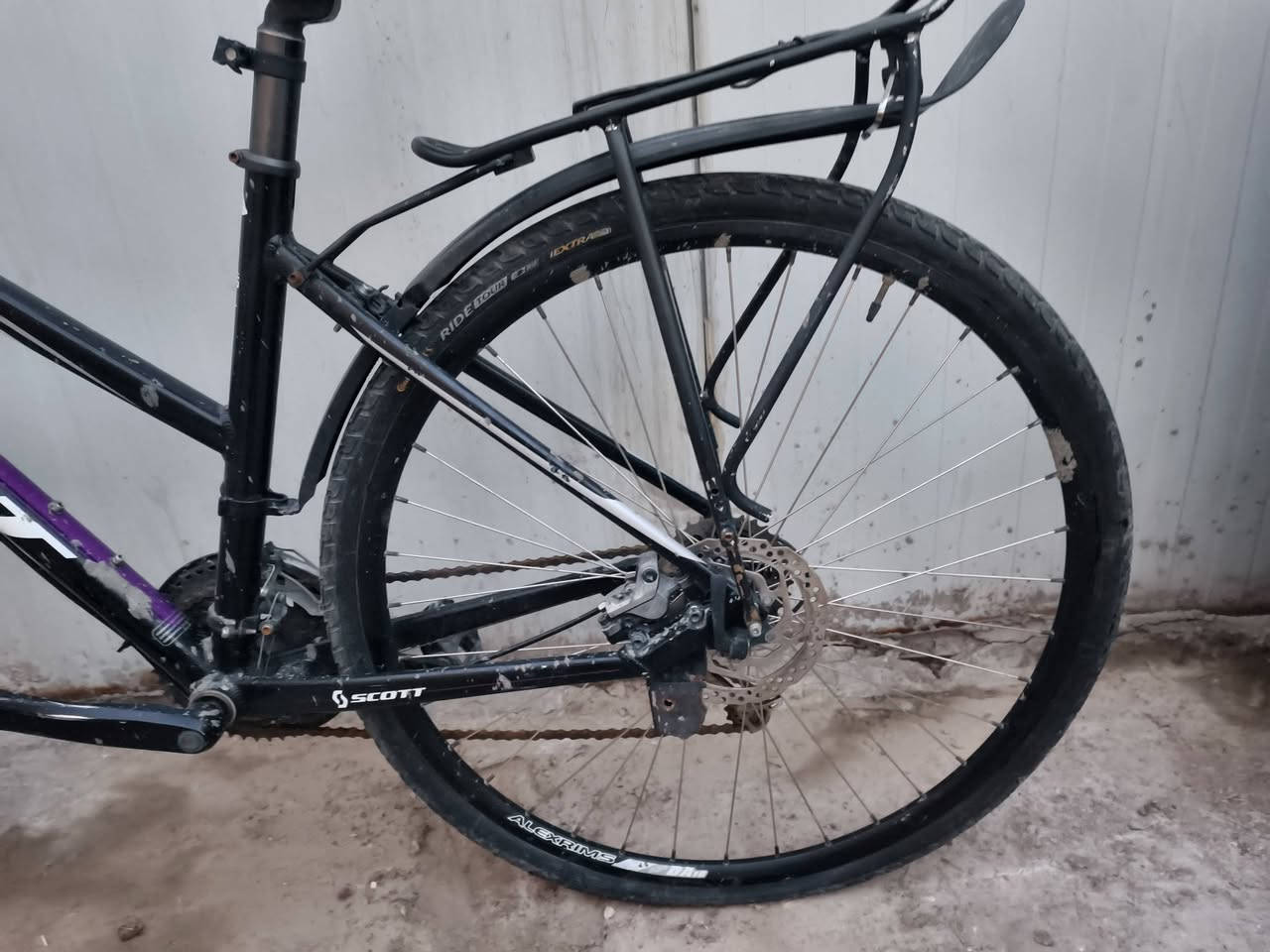 السلام عليكم بايسكل نوع سكوت مال ترحال حجم 26 m فوول اللمنيوم وزن جدا خفيف بي سستم شيمانو وتايرات كتان ودبلات اماميه وبريكات دهن عكرب 7نمرخلفي و3امامي 
ملاحظه البايسكل متروك يرادله تنظيف لان واكع عليه سمنت ومبين بالصور سعره 275وبي مجال حك جيه


**إذا كنت صاحب هذا الإعلان وتريد حذفه لأي سبب، رجاءا أرسل رسالة إلى الدعم الفني**