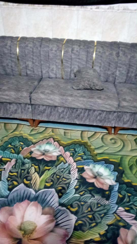 ديوان للبيع 17 مقعد اريده ب350 وبي مجال العنوان كربلاء  قرب بانزين خانة المعلجي للاستفسار خاص


**إذا كنت صاحب هذا الإعلان وتريد حذفه لأي سبب، رجاءا أرسل رسالة إلى الدعم الفني**