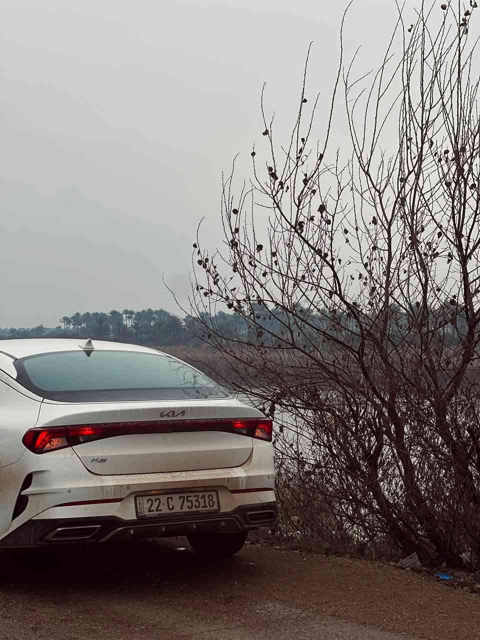 السلام عليكم
2022 Kia K5

خليجي وكالة دولية

ماشية/96 الف فقط كفالة من التبديل والصبغ فقط رصعه بالبنيد كفاله كير + مكينة

مواصفات معروفه

بصمة / تشغيل عن بعد / / كرسي السائق كهربائي / مكينة

2000 دوش

/ / مري كهرباء / طوي تلقائي / مود درايف /داخل بيجي جلد/

/ قطعتين تبريد / حساس امامي / حساس

خلفي / لد

امامي / لد

السياره جاهزة للاخير

رقم اربيل تحويل او وكالة / مكاني واسط الصويره ***********
