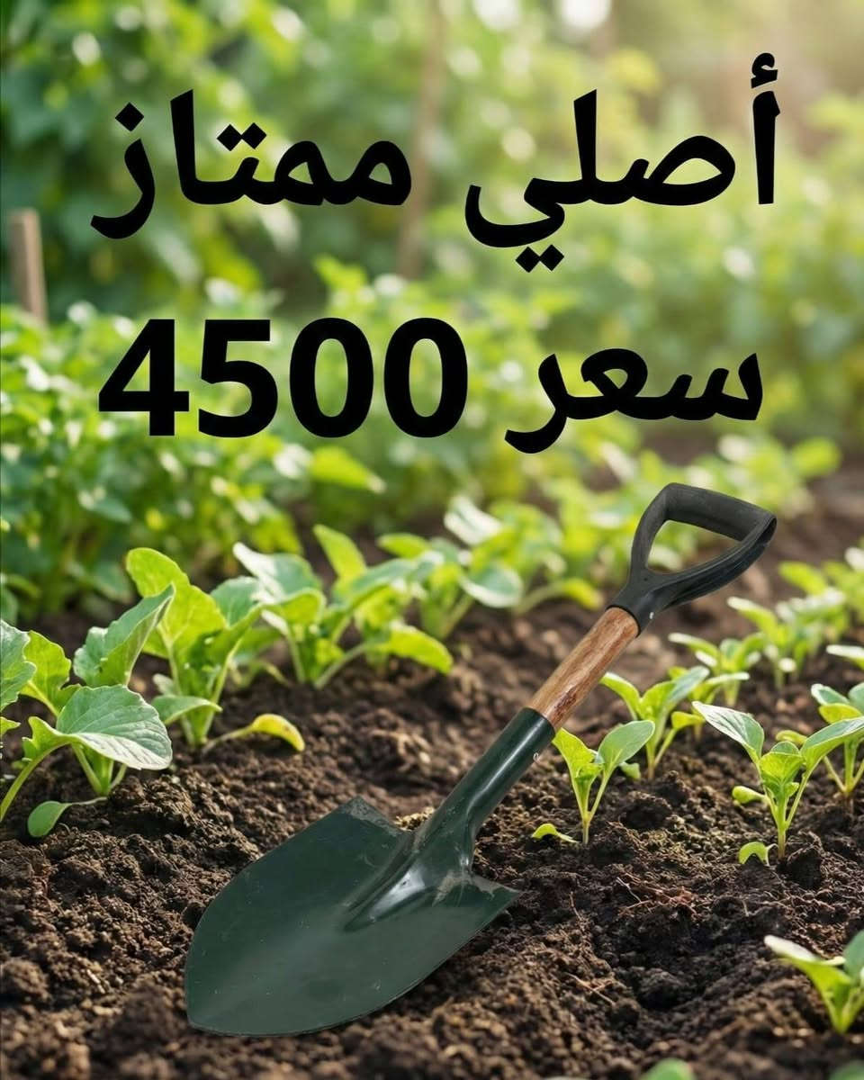 معدات زراعية
توصيل كل محافظات العراق
للحجز والاستفسار *********** واتس اب او خاص
#ادوات_زراعية
#مقص_تقليم
#مبيد
#تقليم_اشجار
#تطعيم_اشجار
#حدائق
